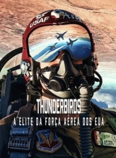 Imagem de: Thunderbirds: A Elite da Força Aérea dos EUA Torrent